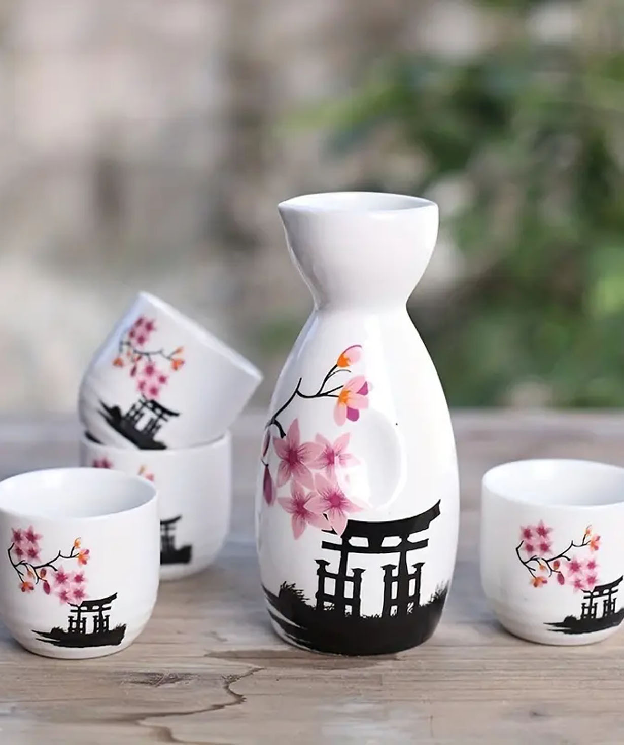 Sake Set №10993